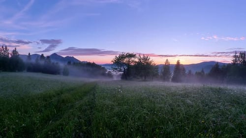 Sunset in the spring Carpathian landscape, the sun's rays illuminate a green meadow, rolling fog