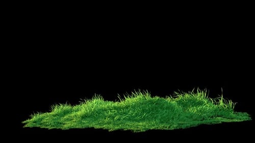 Grass Wind Noise Loop on Alpha