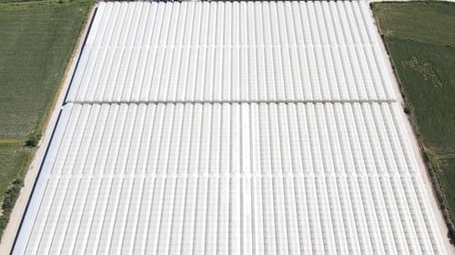 Aerial View of a Large Greenhouse Complex