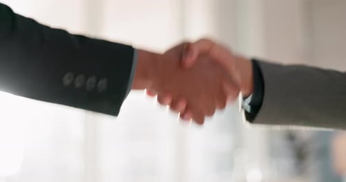 Adults Shake Hands in Bright Office