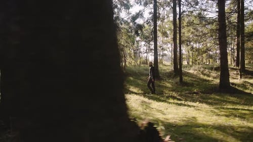 Side View of a Man Tourist with Backpack Hiking Along the Trail in the Forest