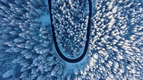 Top Down View Of Mountain Road In Winter Forest - drone shot
