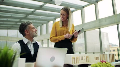 Architects collaborate on house model design in bright modern office space