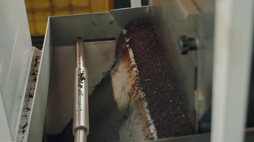 Automated Conveyor Belt Processes Dried Tea Leaves in Factory Tea Production Line Sorting Dried