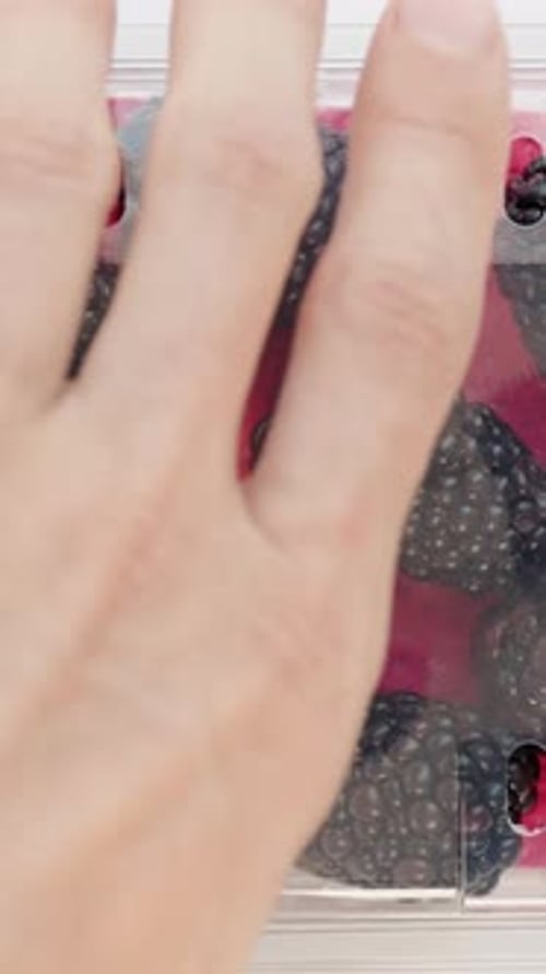 Vertical video. The view is from above on the package with blackberries, and I remove the lid.