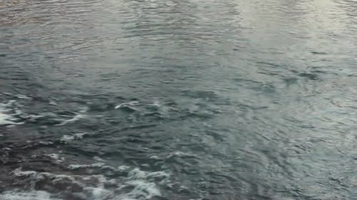 Flowing Water. Winter River. Fast River Water. Stone with Ice in Water