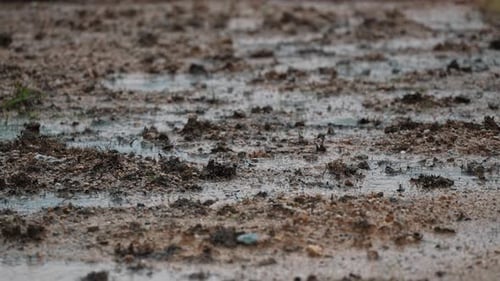 A raining day with a muddy dirt.