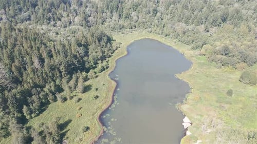 Aerial View of Lake and Green Trees in Forest Around Mountain Landscape