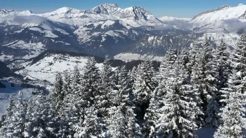 Aerial shot flying over a snow covered pine forest with a mountain background, before panning down o