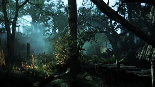 Misty Forest Scene With Trees and Fog