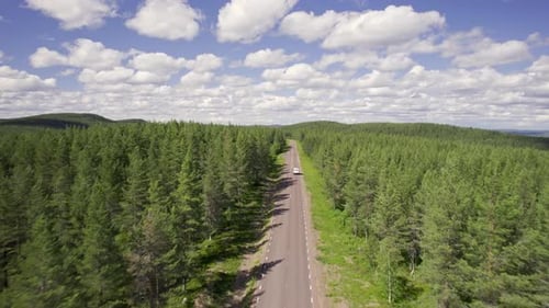 Aerial view of tranquil road through pine forest, Sweden.