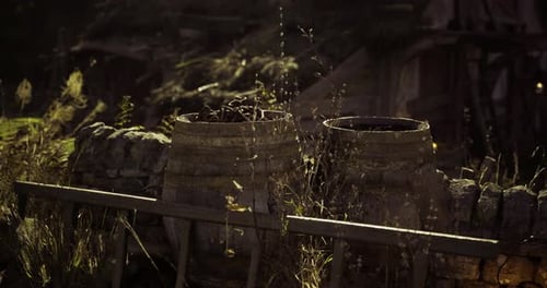 Rustic Barrels with Dry Plants in Dim Light