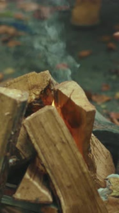 Outdoor Skills for Fire Making Mastering Campfire Construction in Forest Settings with Skill and