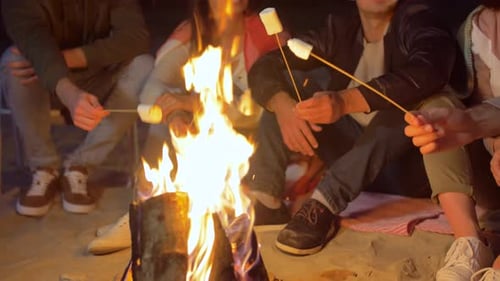 Friends roasting marshmallows around a beach campfire at night in slow motion