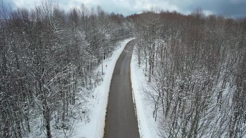Snowy Forest Road