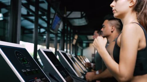 Sporty Group Running Cardio on Treadmills Exercise Burning Calorie in Fitness Gym Fit Body