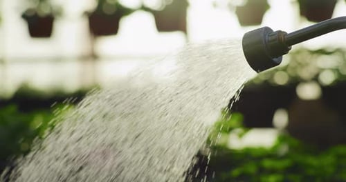 Gardener Watering Flowers with Closeup of Hose Nozzle