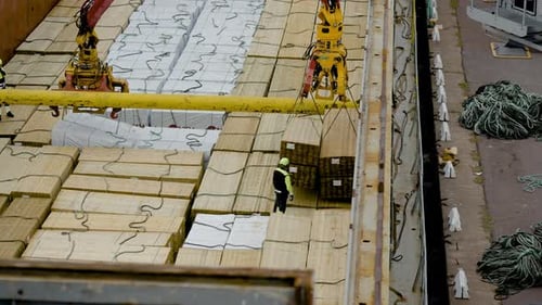 Schifffahrtsmannschaft beim Heben und Auspacken von massivem Holz, Versandmühle, Firma, Industrie, Geschäft, Hafen, p.