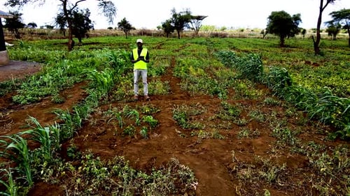 Rural agricultural farms in Kenya. Drone pilot land survey. Smart Agriculture technology.