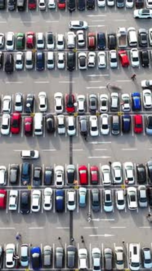 Vehicles in the parking lot