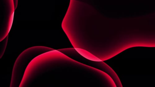 Dynamic Abstract Red Fluid Shapes Motion Graphic