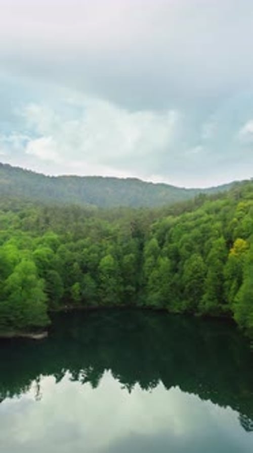 Vertical Forest and Lake 4K