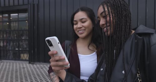 Art Gallery and Exhibition Space