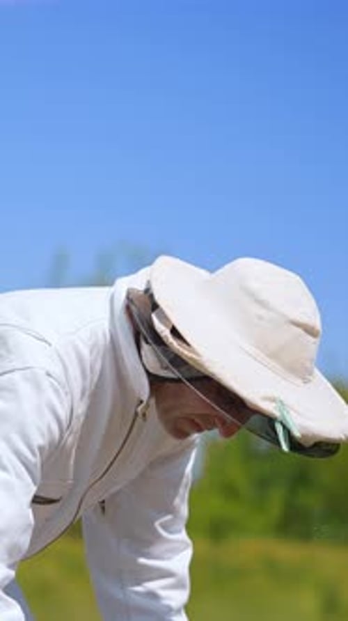 Beekeeper Inspects Hive on a Sunny Day