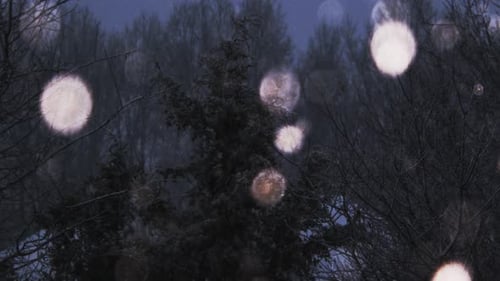 Schnee in Zeitlupe, der vor Bäumen fällt und von links nach rechts schwenkt
