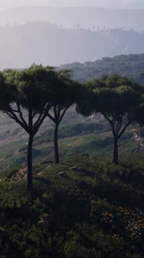Aerial Shot of the Kenya Savannah