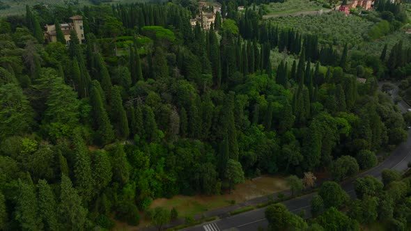 High Angle View of Green Vegetation Tilt Up Reveal Landscape with ...