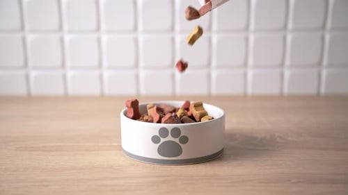 Pouring dry dog food in a shape of bones in bowl on wooden floor background.