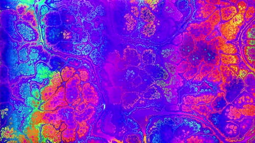 Vibrant Psychedelic Abstract Flowing Cells Background Loop