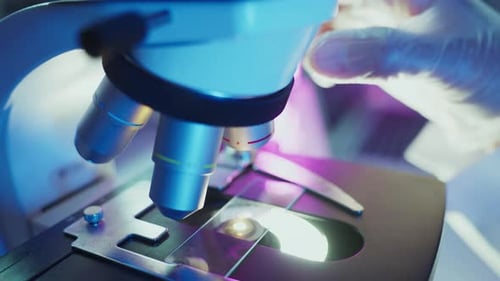 Wissenschaftler justieren Mikroskoplinsen für präzise Beobachtungen im Labor