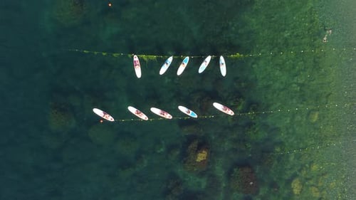 Aerial View of People Paddle Boarding in the Ocean