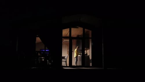 Woman Working In Kitchen At Night