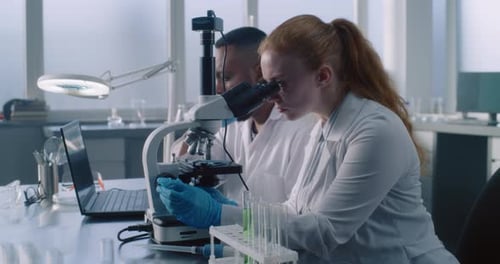 Equipe diversificada de microbiologistas profissionais fazendo análises no laboratório de ciências médicas