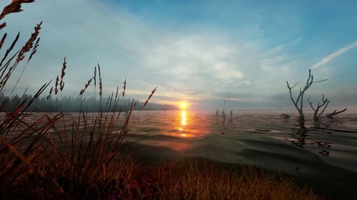 Shore Of A Misty Lake At Sunrise In Summer