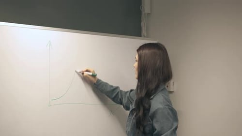 girl holds a lecture, business meeting, strategy analysis