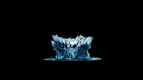 Splash