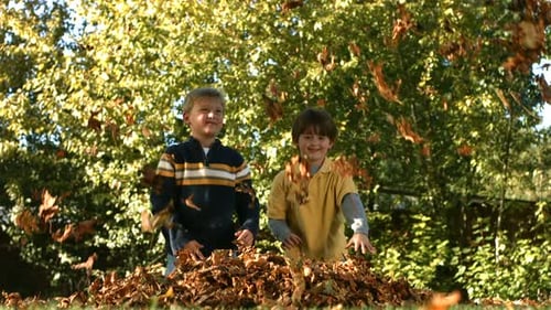 Brothers Playing in Autumn Leaves Together Autumn