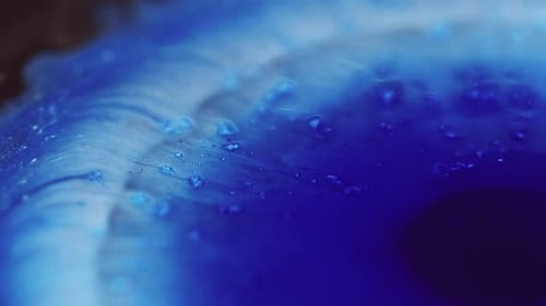 Stain Splatter Ink Drop, Blau/Schwarz, nasser Fleck