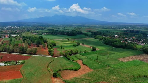 Aerial view of natural landscape with green plantation and village house