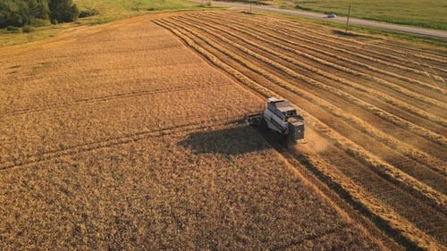 Harvester Machine Working in Field