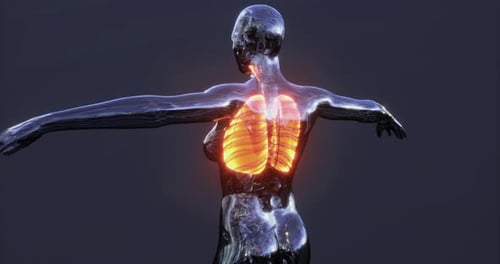 Futuristic Medical Animation of Human Respiratory System