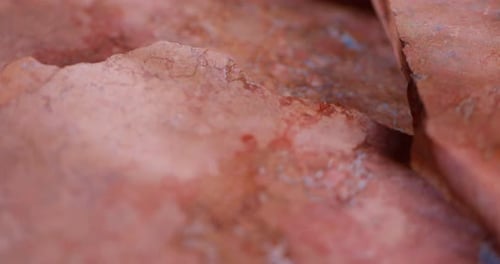Natural Pink Limestone Texture With Organic Macro Details
