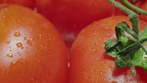 Tomaten (4K)