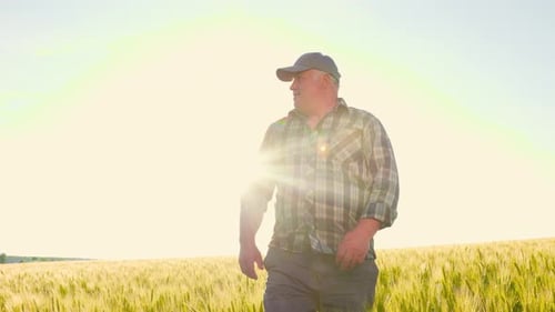 Senior Farmer Walking in Wheat Field