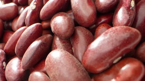 Red kidney beans are a rich source of plant-based protein