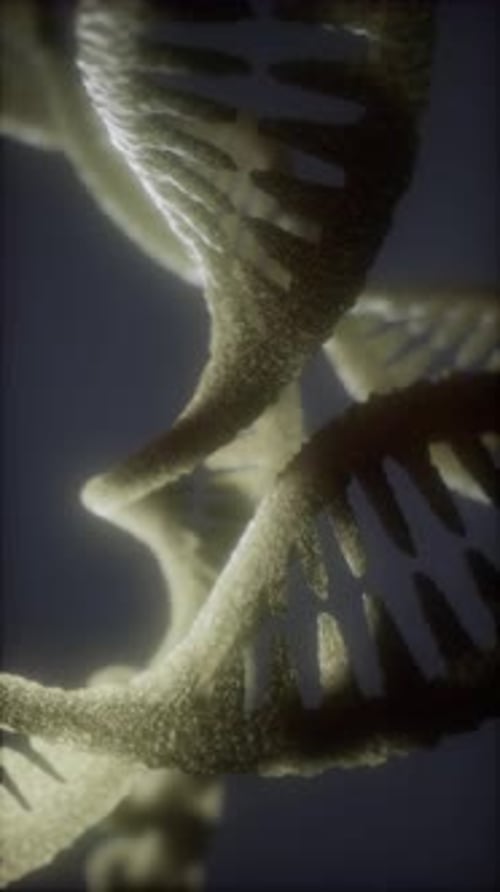 Detailed View of a DNA Helix Structure Illuminating Scientific Discovery